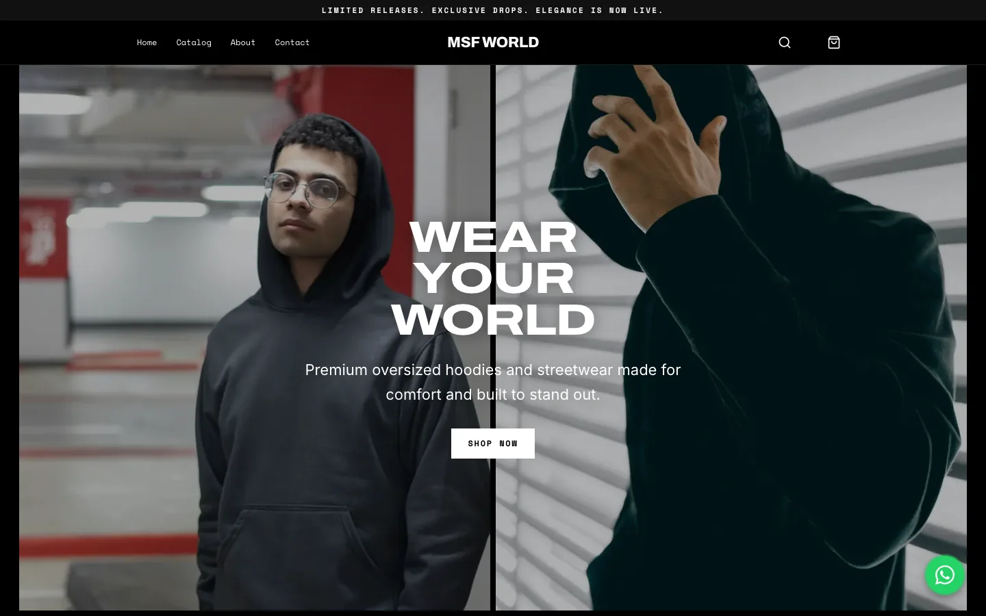 Screenshot of MSF World